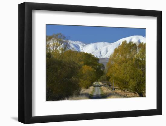 Otago Central Rail Trail , Ida Range, Central Otago, South Island, New Zealand-David Wall-Framed Photographic Print