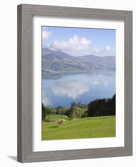 Otago Harbour, Otago Peninsula, Otago, South Island, New Zealand, Pacific-Michael Snell-Framed Photographic Print