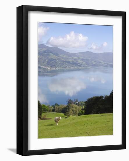 Otago Harbour, Otago Peninsula, Otago, South Island, New Zealand, Pacific-Michael Snell-Framed Photographic Print