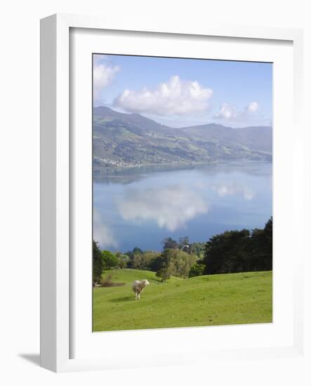 Otago Harbour, Otago Peninsula, Otago, South Island, New Zealand, Pacific-Michael Snell-Framed Photographic Print