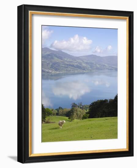 Otago Harbour, Otago Peninsula, Otago, South Island, New Zealand, Pacific-Michael Snell-Framed Photographic Print