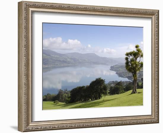 Otago Harbour, Otago Peninsula, Otago, South Island, New Zealand, Pacific-Michael Snell-Framed Photographic Print