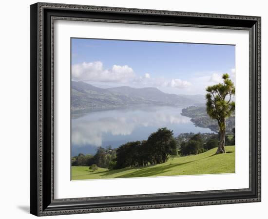 Otago Harbour, Otago Peninsula, Otago, South Island, New Zealand, Pacific-Michael Snell-Framed Photographic Print