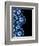 Other Half Of Blue Agates-Jace Grey-Framed Premium Giclee Print