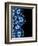 Other Half Of Blue Agates-Jace Grey-Framed Premium Giclee Print