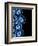 Other Half Of Blue Agates-Jace Grey-Framed Premium Giclee Print