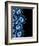 Other Half Of Blue Agates-Jace Grey-Framed Art Print