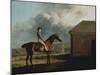 Otho, with John Larkin Up-George Stubbs-Mounted Giclee Print