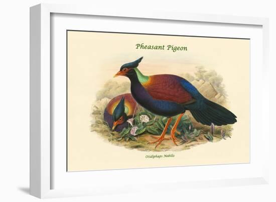 Otidiphaps Nobilis - Pheasant Pigeon-John Gould-Framed Art Print