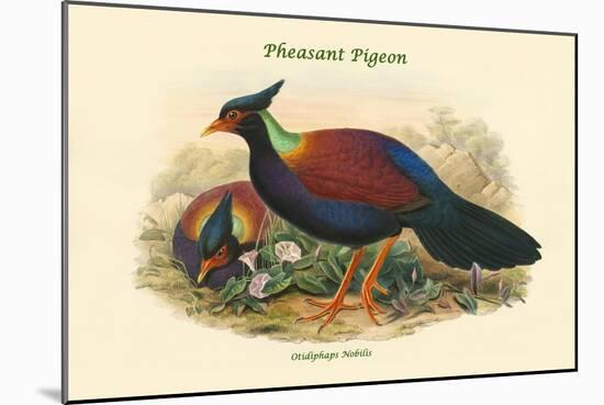 Otidiphaps Nobilis - Pheasant Pigeon-John Gould-Mounted Art Print