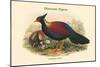 Otidiphaps Nobilis - Pheasant Pigeon-John Gould-Mounted Art Print