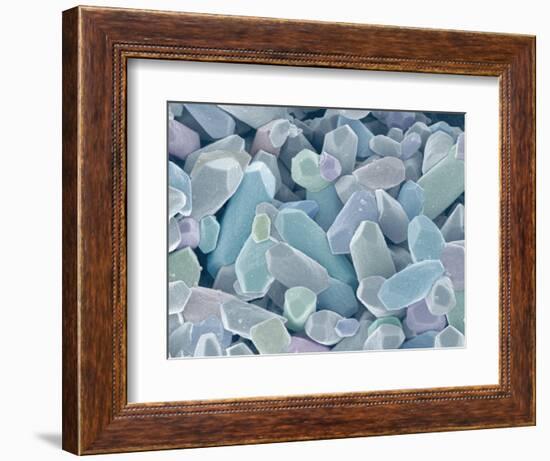 Otoliths from the Inner Ear of a Rabbit-Micro Discovery-Framed Photographic Print
