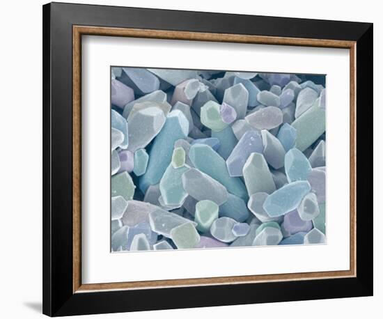 Otoliths from the Inner Ear of a Rabbit-Micro Discovery-Framed Photographic Print