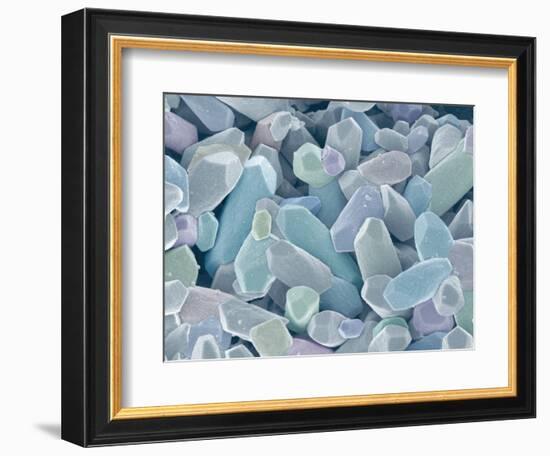 Otoliths from the Inner Ear of a Rabbit-Micro Discovery-Framed Photographic Print