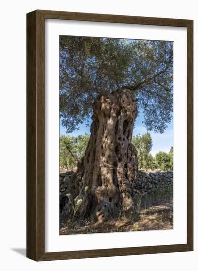 Otranto, province of Lecce, Salento, Apulia, Italy-ClickAlps-Framed Photographic Print