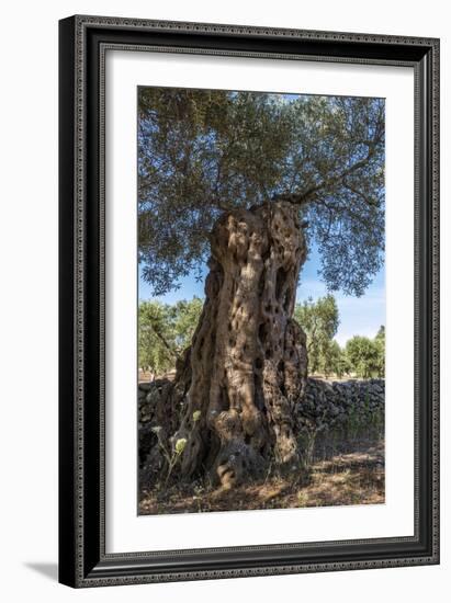 Otranto, province of Lecce, Salento, Apulia, Italy-ClickAlps-Framed Photographic Print