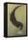 Otter and Fish-null-Framed Stretched Canvas