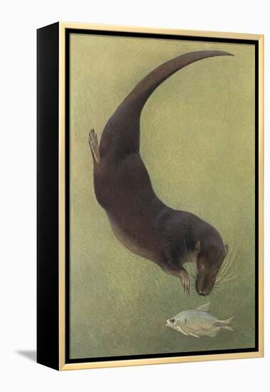 Otter and Fish-null-Framed Stretched Canvas