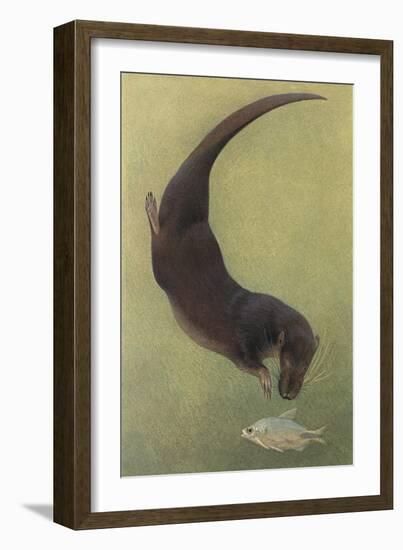Otter and Fish-null-Framed Art Print