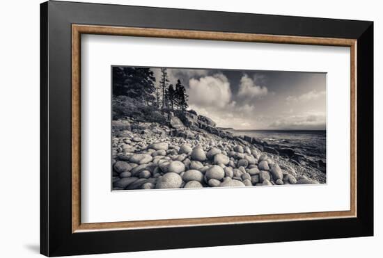 Otter Cliff Coastline-Michael Hudson-Framed Art Print