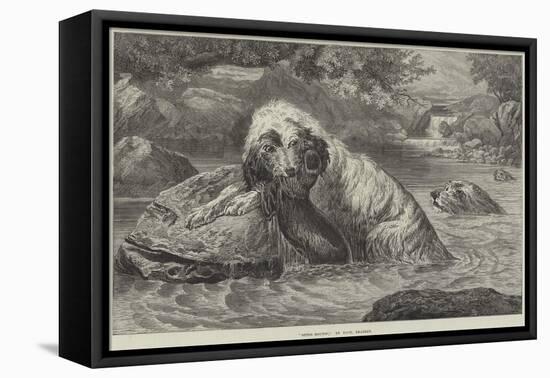 Otter-Hounds-Basil Bradley-Framed Premier Image Canvas