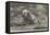 Otter-Hounds-Basil Bradley-Framed Premier Image Canvas