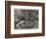 Otter-Hounds-Basil Bradley-Framed Giclee Print