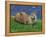 Otter (Lutra Lutra), Otter Trust North Pennine Reserve, Barnard Castle, County Durham, England-Ann & Steve Toon-Framed Premier Image Canvas