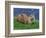 Otter (Lutra Lutra), Otter Trust North Pennine Reserve, Barnard Castle, County Durham, England-Ann & Steve Toon-Framed Photographic Print