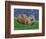 Otter (Lutra Lutra), Otter Trust North Pennine Reserve, Barnard Castle, County Durham, England-Ann & Steve Toon-Framed Photographic Print