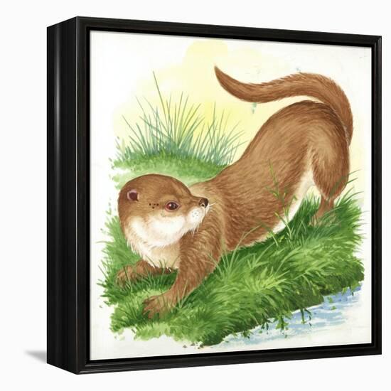 Otter Lutra-null-Framed Premier Image Canvas