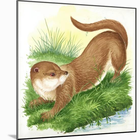 Otter Lutra-null-Mounted Giclee Print