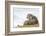 Otter (Lutrinae), West Coast of Scotland, United Kingdom, Europe-David Gibbon-Framed Photographic Print