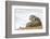 Otter (Lutrinae), West Coast of Scotland, United Kingdom, Europe-David Gibbon-Framed Photographic Print