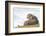 Otter (Lutrinae), West Coast of Scotland, United Kingdom, Europe-David Gibbon-Framed Photographic Print