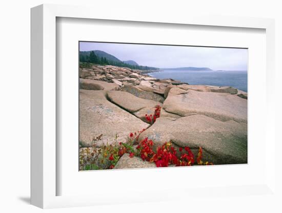 Otter Point, Acadia National Park, Maine-George Oze-Framed Photographic Print