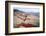 Otter Point, Acadia National Park, Maine-George Oze-Framed Photographic Print