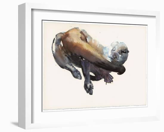 Otter Study I - 'Talisker'-Mark Adlington-Framed Giclee Print