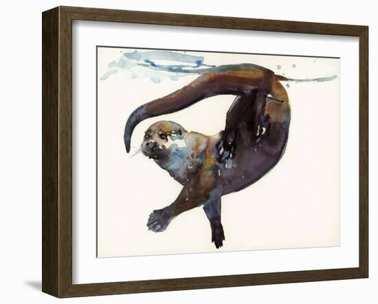 Otter Study II -'Talisker'-Mark Adlington-Framed Giclee Print