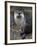 Otter - The Cutest European Mammal-l i g h t p o e t-Framed Photographic Print