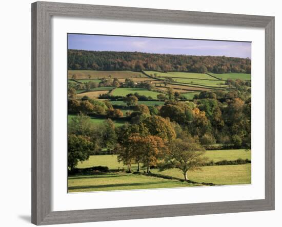 Otter Valley in Autumn, Devon, England, United Kingdom-John Miller-Framed Photographic Print