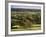 Otter Valley in Autumn, Devon, England, United Kingdom-John Miller-Framed Photographic Print