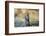 Otter-Reiner Bernhardt-Framed Photographic Print