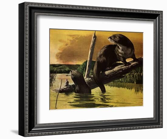 Otters Fear Forest Fire, 1952-Stan Galli-Framed Giclee Print