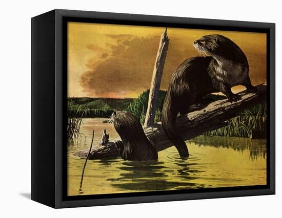 Otters Fear Forest Fire, 1952-Stan Galli-Framed Premier Image Canvas