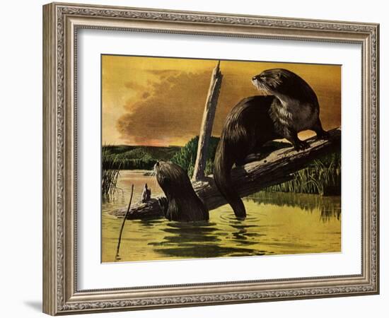 Otters Fear Forest Fire, 1952-Stan Galli-Framed Giclee Print