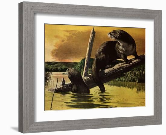 Otters Fear Forest Fire, 1952-Stan Galli-Framed Giclee Print