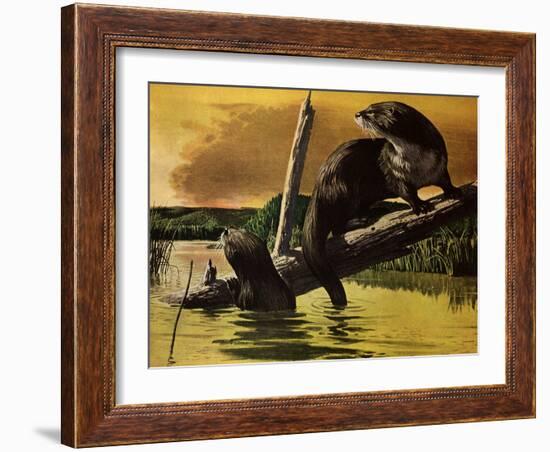 Otters Fear Forest Fire, 1952-Stan Galli-Framed Giclee Print