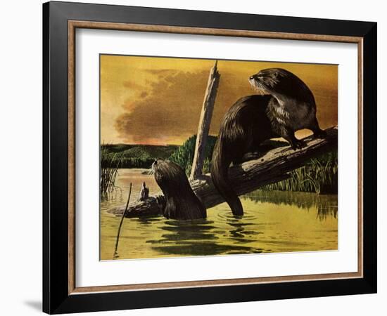 Otters Fear Forest Fire, 1952-Stan Galli-Framed Giclee Print