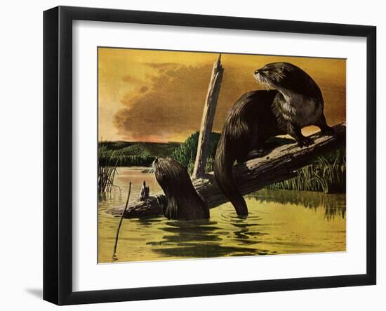 Otters Fear Forest Fire, 1952-Stan Galli-Framed Giclee Print